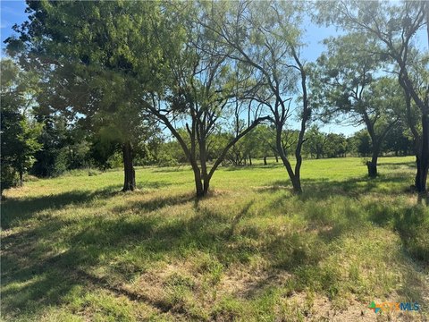 LAND - Bangs, TX