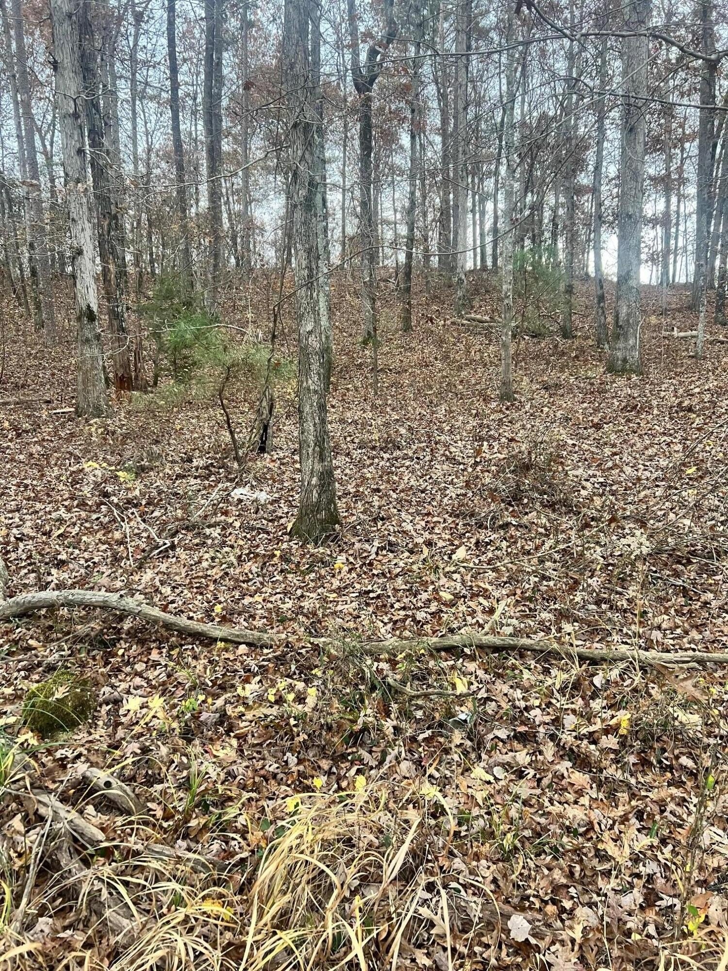 Waterfront Land with Gentle Access