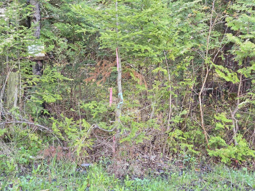 Picture 4