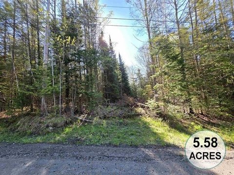 Wooded Recreational Lot