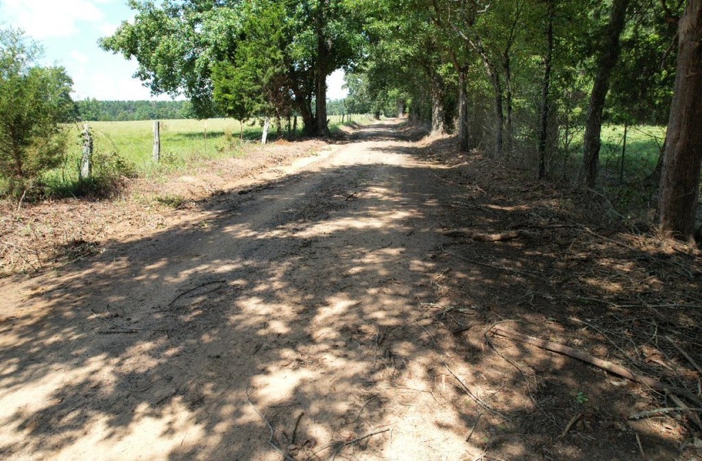 Picture 17