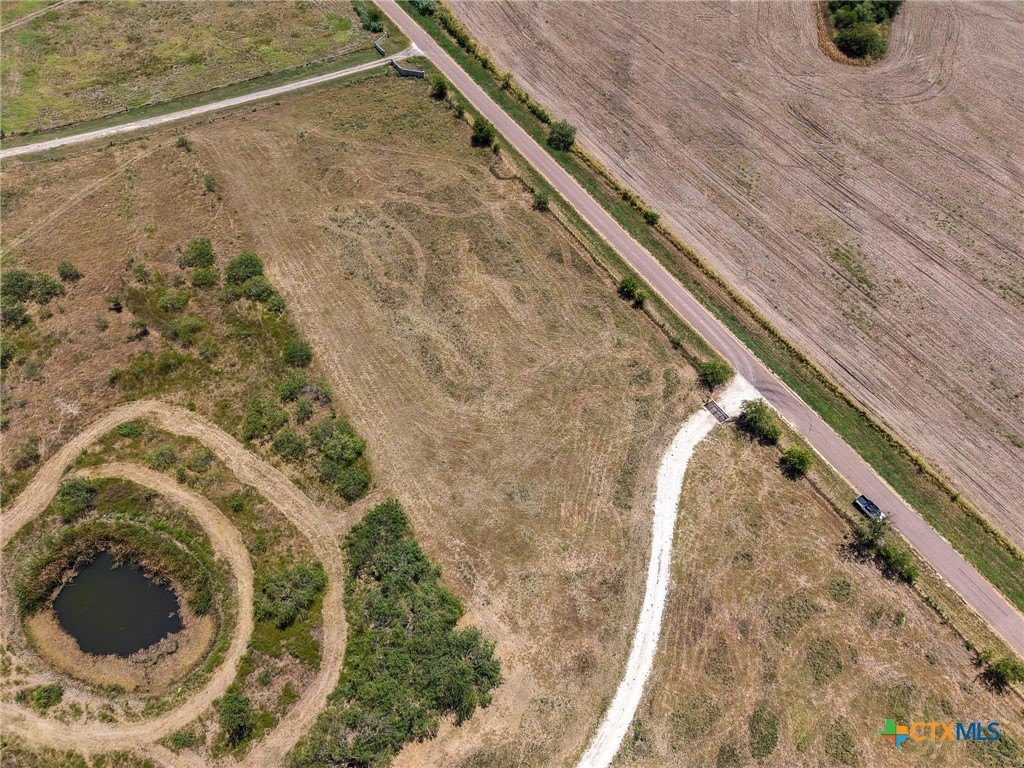 Picture 9