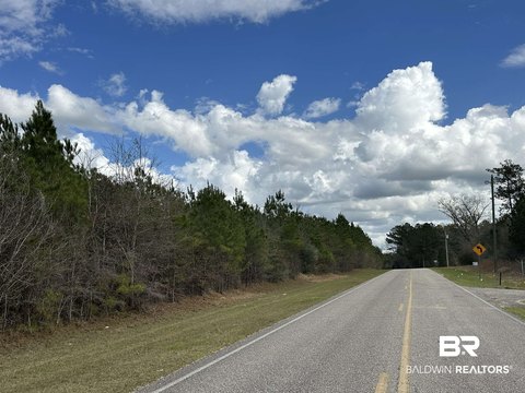 Wooded Residential Land Subdivision