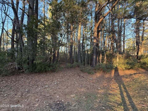 Land, New Bern, NC