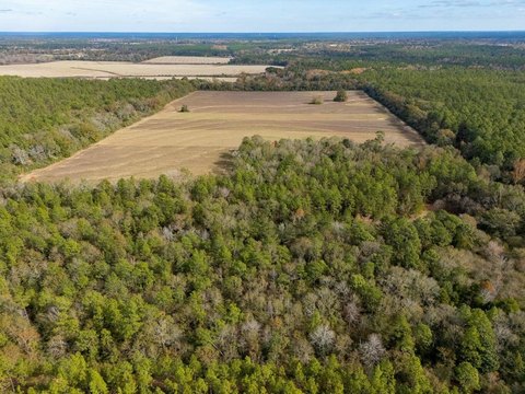 80 Acres of Cleared Land