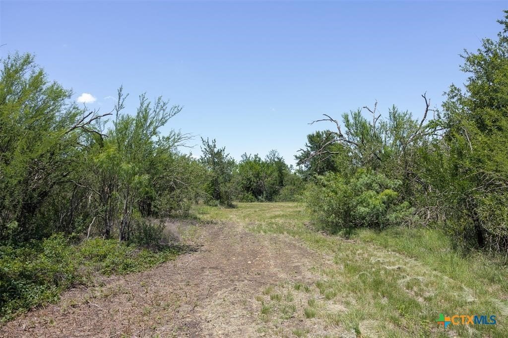 Picture 30