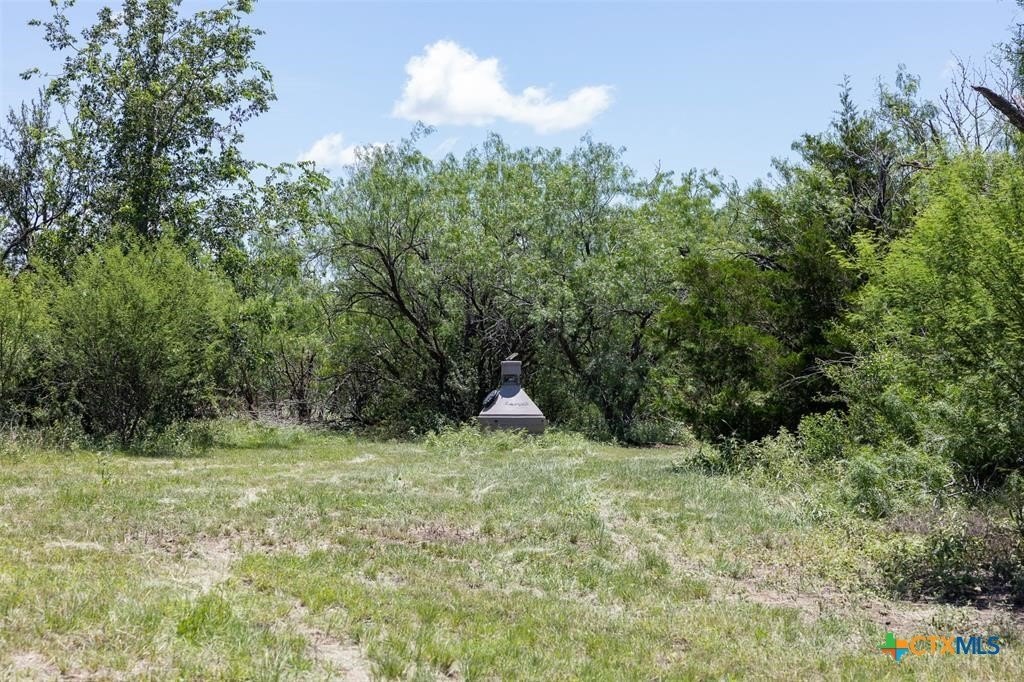 Picture 18