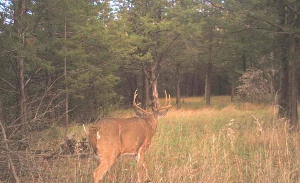 Picture 19