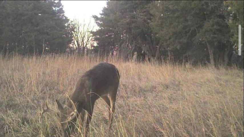 Picture 21