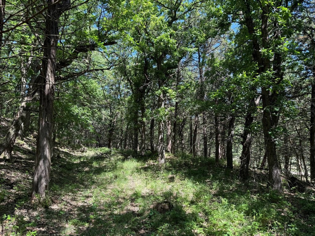 Picture 15