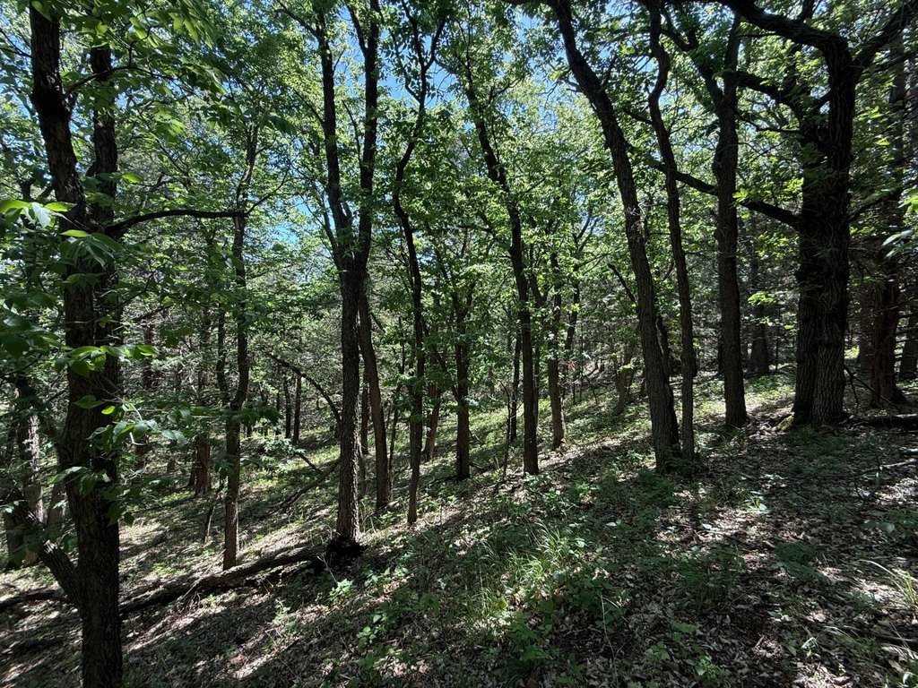 Picture 6