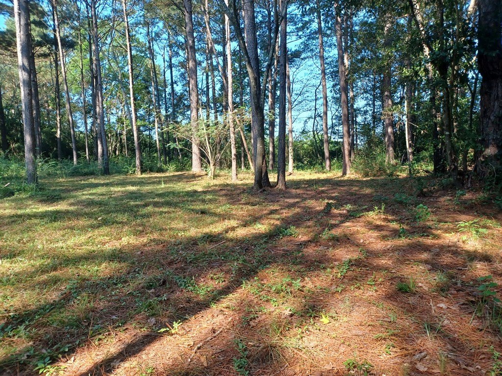 Picture 3