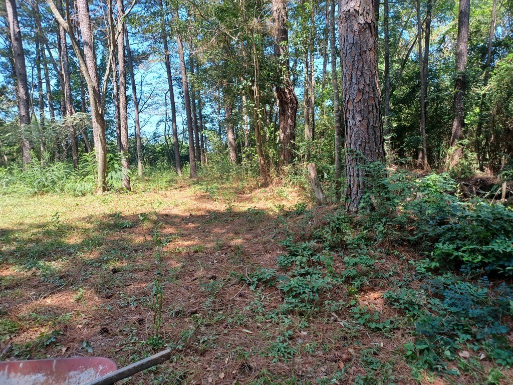 Picture 6