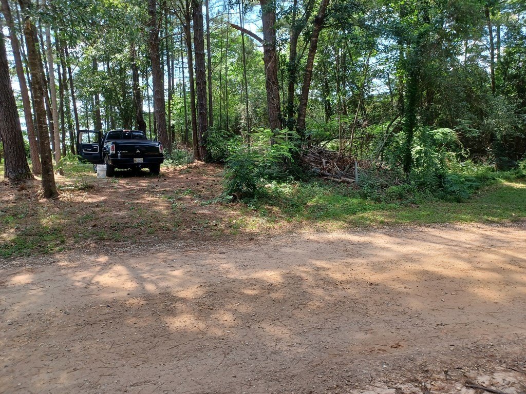 Picture 9
