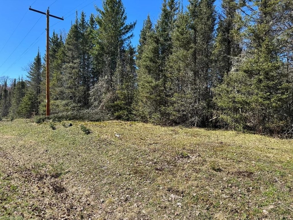 Picture 15