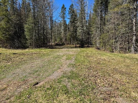 Wooded Land with Creek Frontage