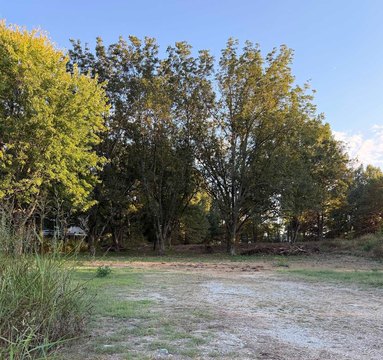 Land, Covington, TN