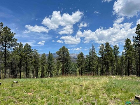 Land, Rociada, NM