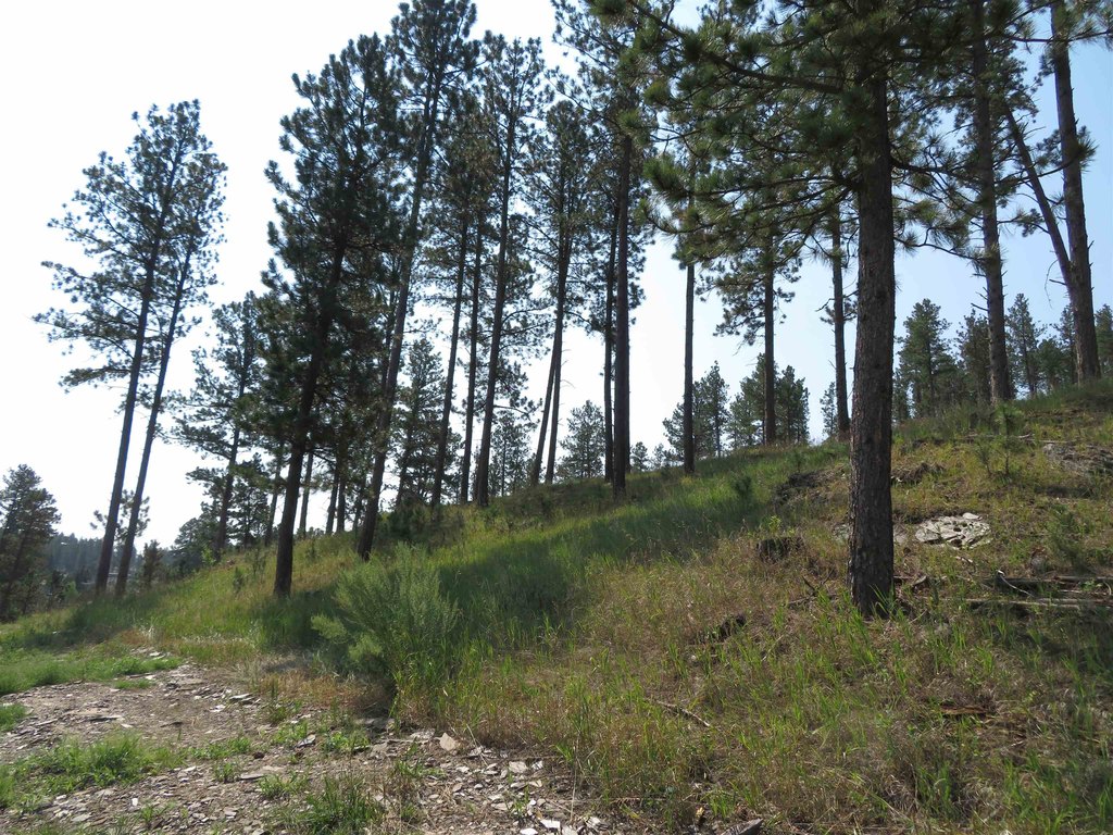 Picture 14
