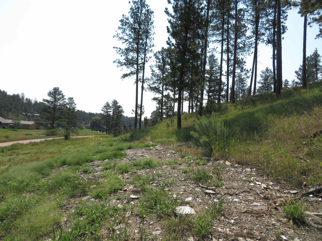Picture 15