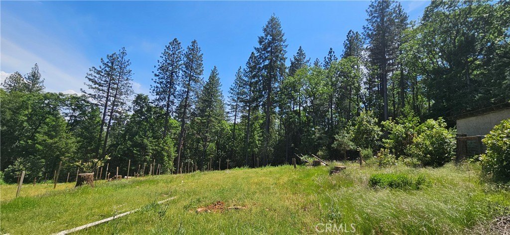 Yankee Hill Acreage with Utilities