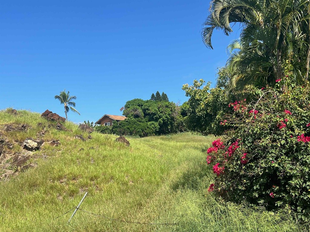 Picture 21