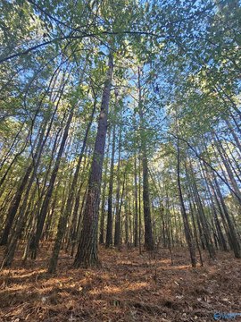 Piedmont, AL Land For Sale