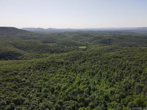 Remote Timber Tract Near Buffalo