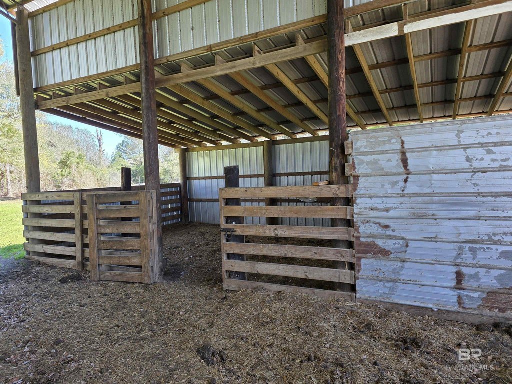 Picture 12
