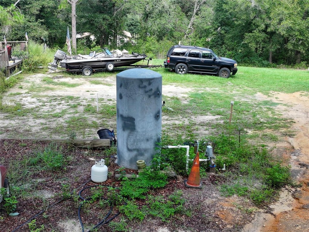 Picture 8