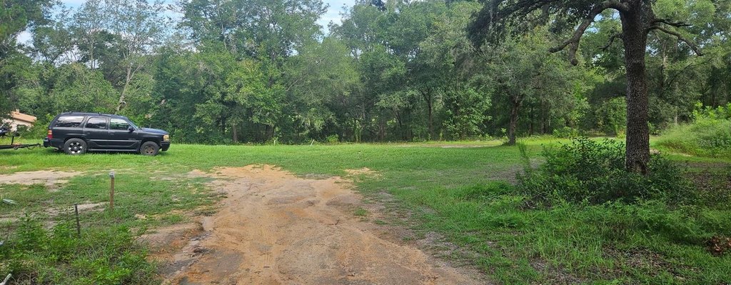Picture 23