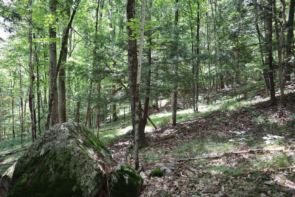 Picture 17