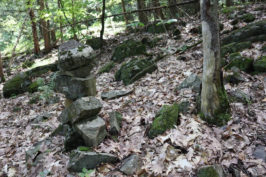 Picture 28