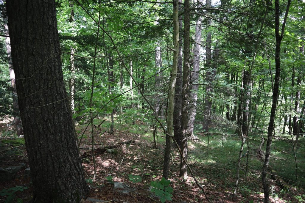 Picture 39