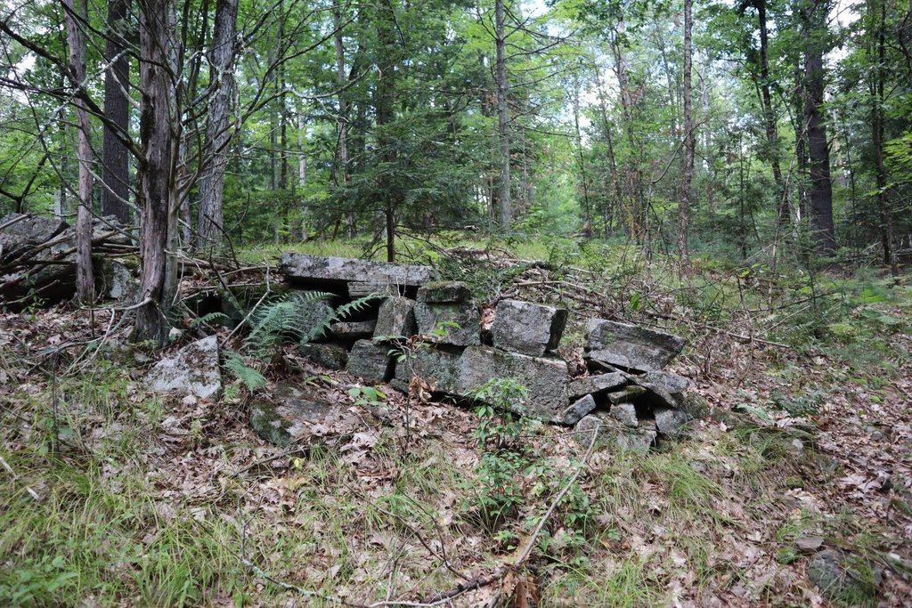 Picture 22