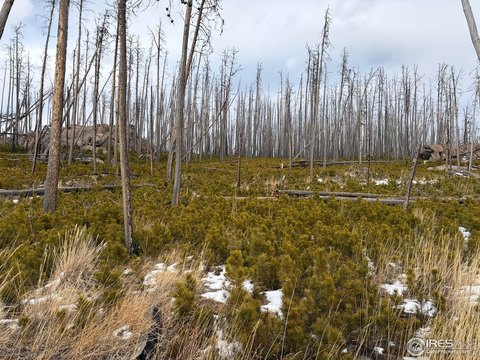 Mountain Recreation Land