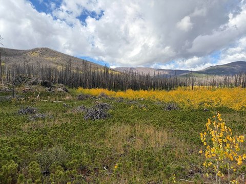 Mountain Recreation Land
