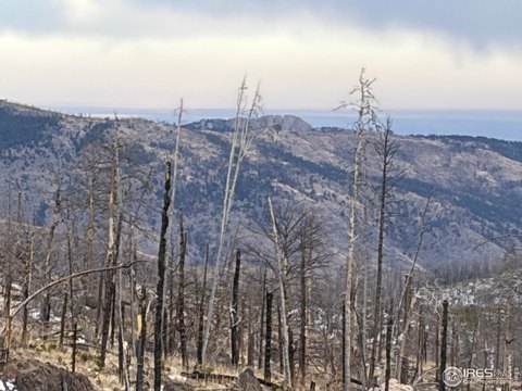 Crystal Mountain Land For Sale