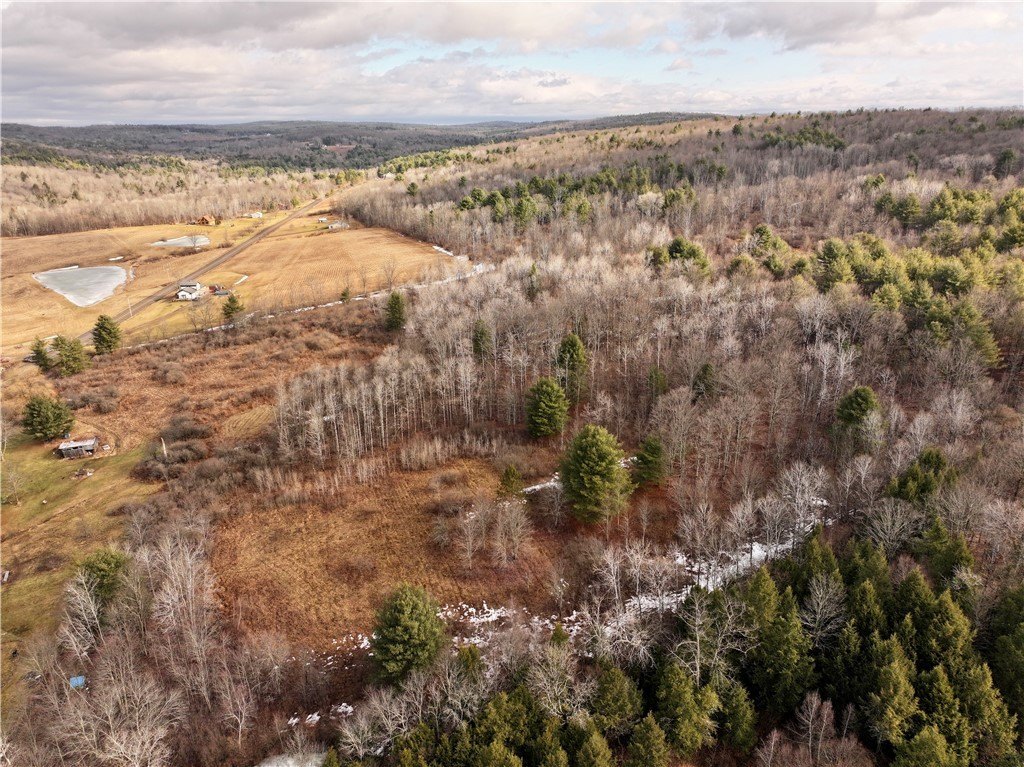 Land Parcel in Spencer, NY