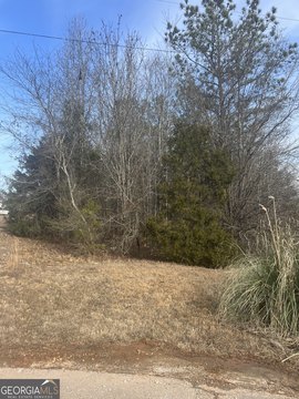 LAND - Martin, GA