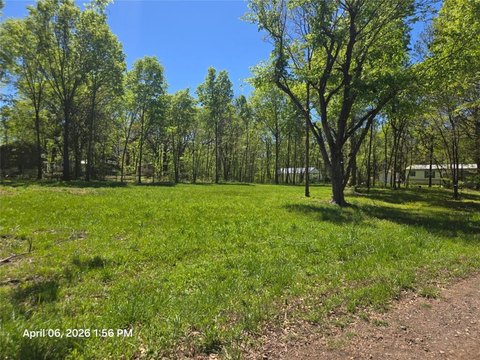 Cleared Land Near Lake Eufaula