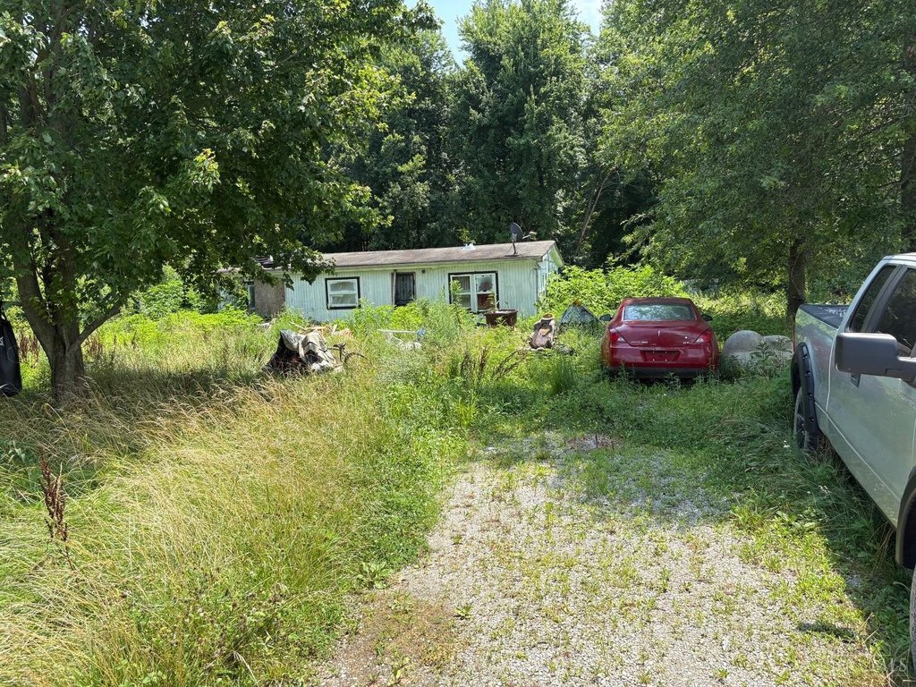 Picture 2