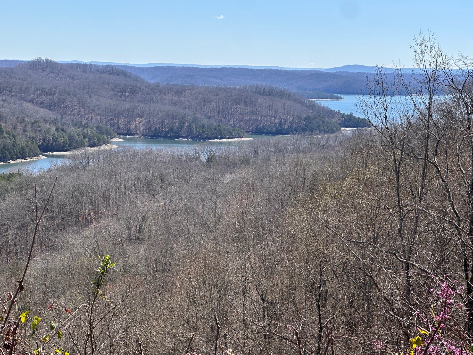 Vacant Land Near Dale Hollow