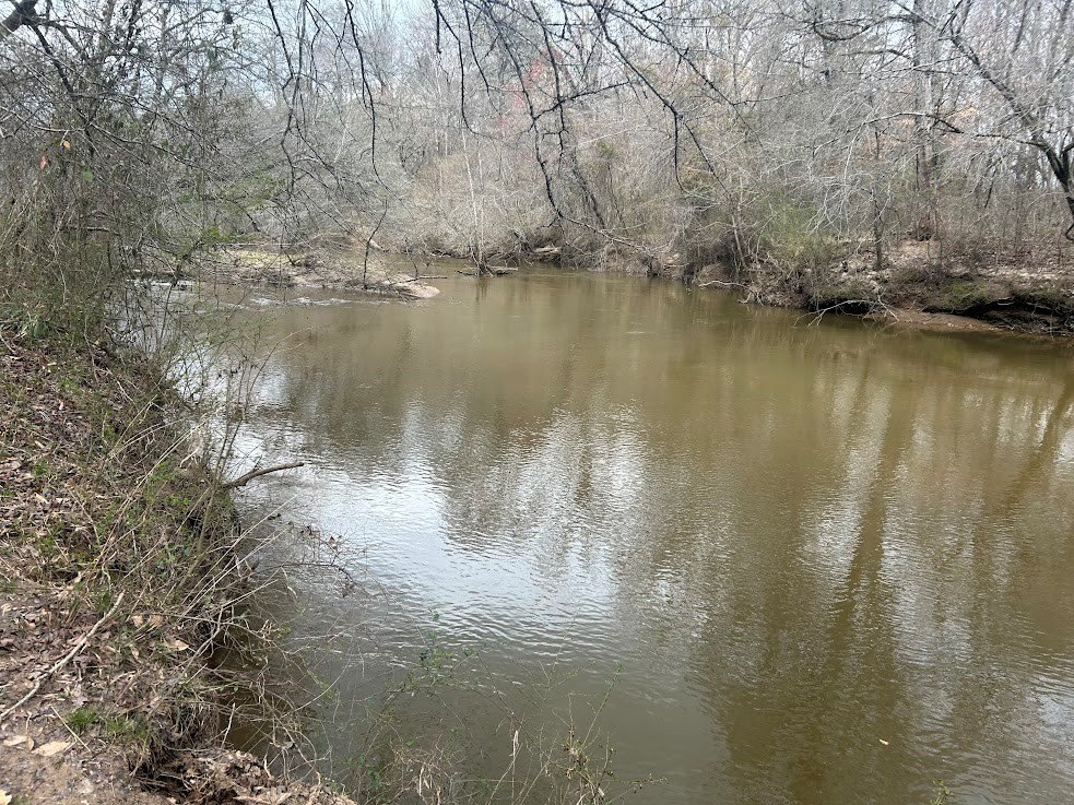 Picture 33