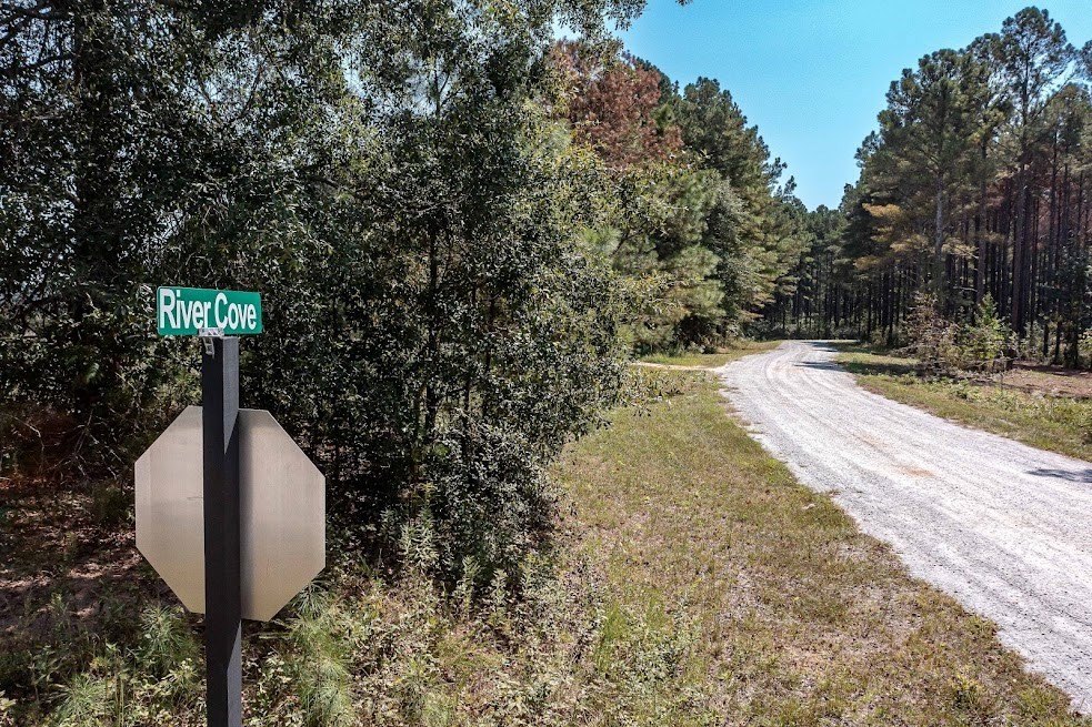 Picture 11