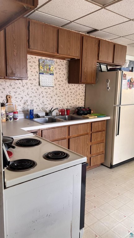 Picture 24