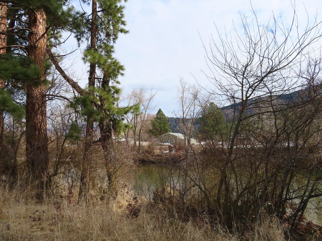 Picture 11