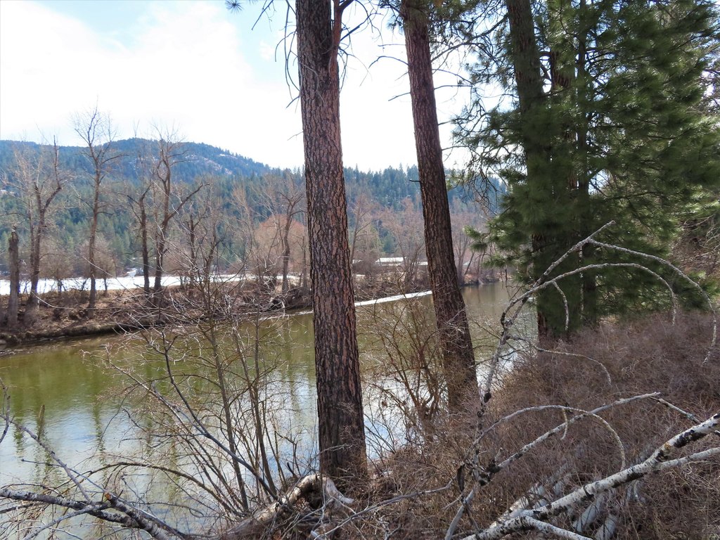 Picture 27