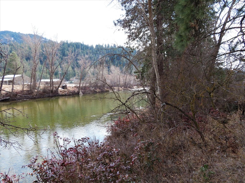 Picture 21