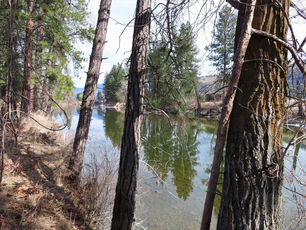 Picture 28